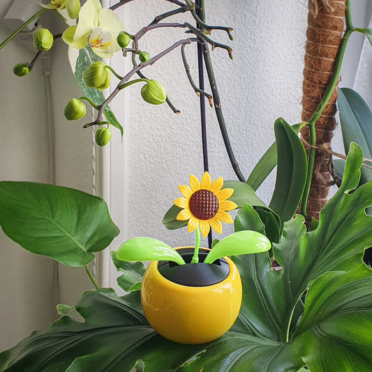 Fleur dansante solaire modèle tournesol