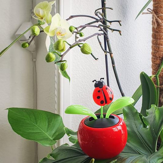 Coccinelle dansante solaire rouge et vase rouge.