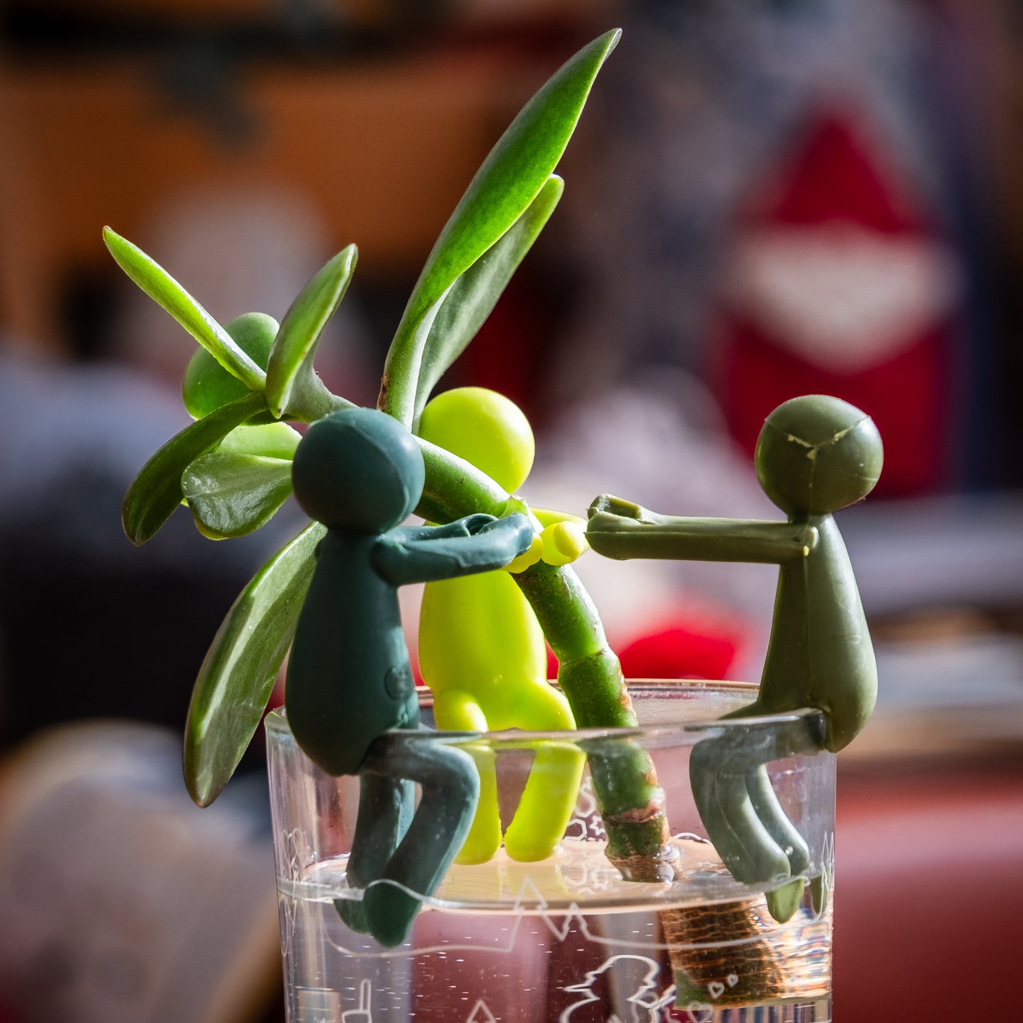 Supports de bouturage